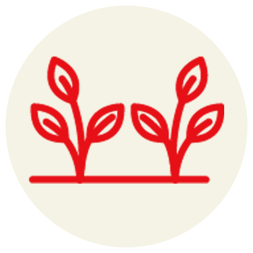 Agriculture Chemicals