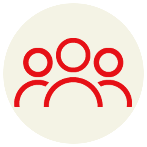 Experienced Team